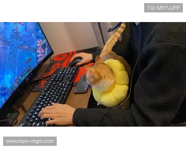 当我打游戏时忽略了女朋友的感受,差点错过了她的陪伴 当我打游戏时忽略了女朋友的感受,差点错过了她的陪伴